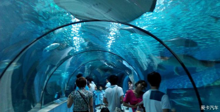 苏州水族馆：苏州旅游攻略之苏州海洋馆