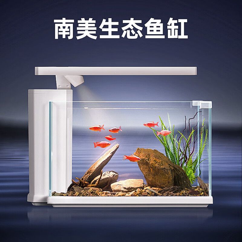 索一水族的鱼缸怎么样：索一水族公司的鱼缸产品