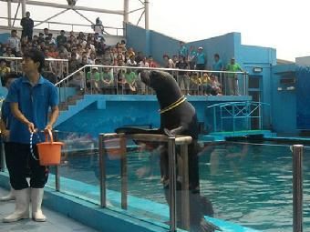 池州水族馆：安徽池州水族馆)三台山公园(三台山公园花鸟市场