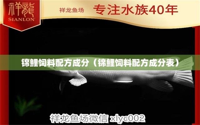 金龙鱼比银龙鱼贵：为什么金龙鱼比银龙鱼更昂贵？ 水族问答 第1张