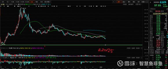 金龙鱼股价未来趋势预测：金龙鱼的股价受到多种因素的影响