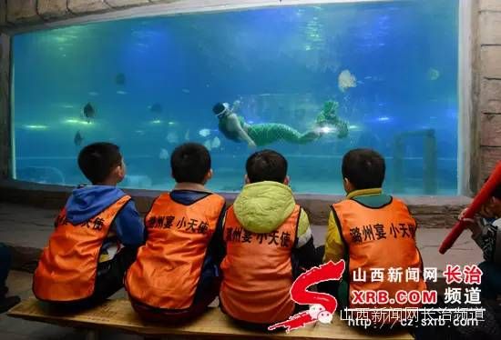 长治水族馆：潞州区缘领航水族馆