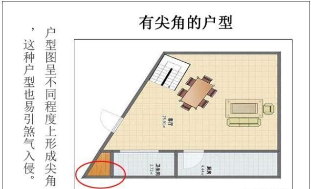 麒麟放在鱼缸上可以吗：麒麟摆放在鱼缸上是否合适， 鱼缸百科 第5张