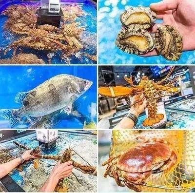 福州水族批发市场：福州水族批发市场介绍 全国观赏鱼市场 第3张