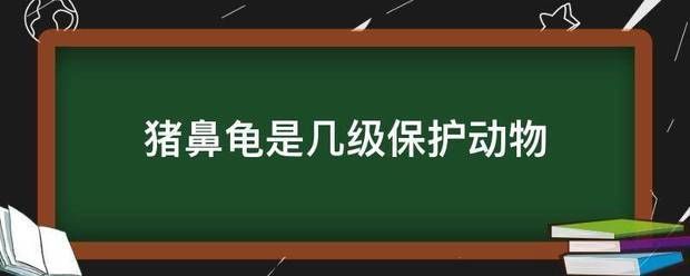 猪鼻龟是几级保护：猪鼻龟是几级保护动物 猪鼻龟百科 第6张