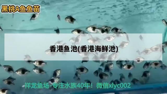 西宁鱼缸批发市场：西宁鱼缸批发市场地址及具体位置及具体位置及具体位置 全国观赏鱼市场 第1张