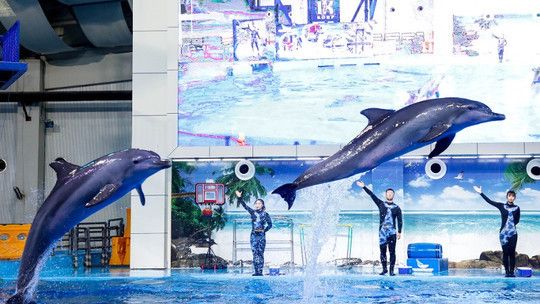 合肥水族馆：合肥市渔人码头水族馆