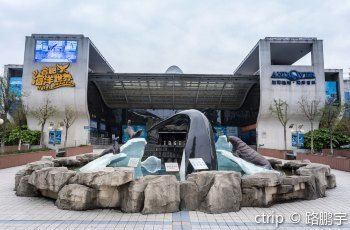 合肥水族馆：合肥市渔人码头水族馆 全国观赏鱼市场 第9张