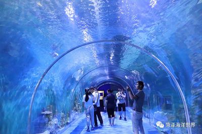 菏泽水族馆：菏泽市水族馆