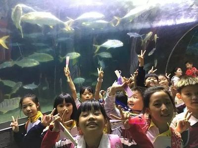 东莞水族馆：东莞杨屋水族馆概述 全国观赏鱼市场 第1张