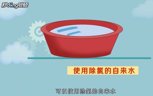 鱼缸里的水应该用什么水：关于鱼缸用水的一些详细信息 鱼缸百科 第4张