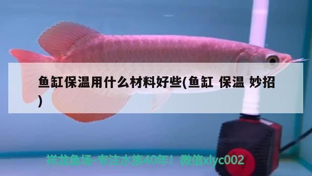 鱼缸隔热材料的成本效益分析：鱼缸隔热材料的优势 鱼缸百科 第3张