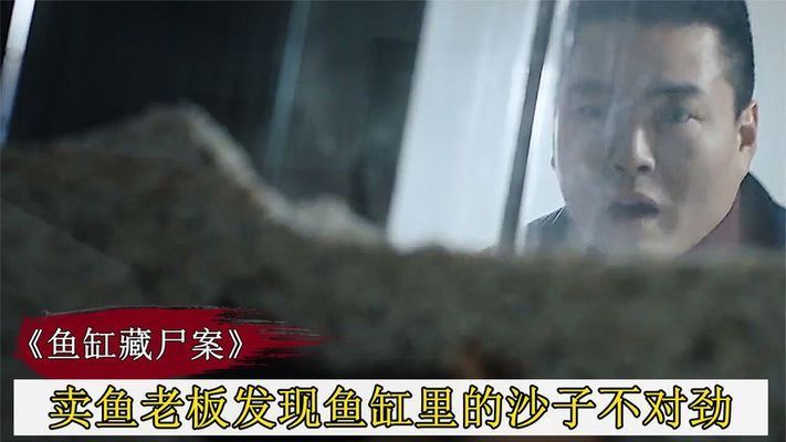 鱼缸老板：“鱼缸老板”的具体信息并没有直接相关的详细信息 鱼缸百科 第4张