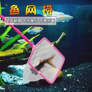 儿童鱼缸里的小鱼：儿童画鱼缸基本步骤 鱼缸百科 第4张