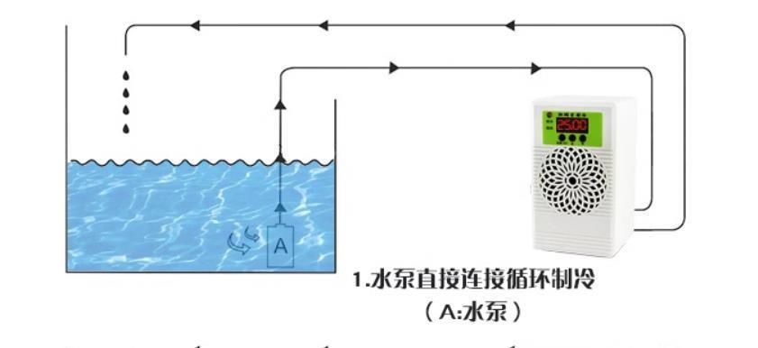 鱼缸降温设备的节能选择：鱼缸降温节能技巧分享, 鱼缸百科 第4张