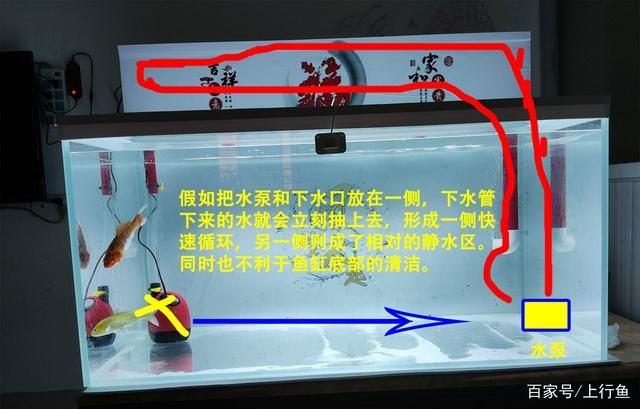 鱼缸出水口最佳位置：鱼缸出水口的最佳位置 鱼缸百科 第5张