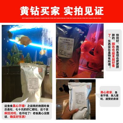 金龙鱼吃蚂蚱好吗：金龙鱼可以吃蚂蚱吗？ 水族问答 第2张