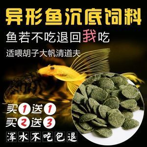 招财猫鱼苗饲料自制方法：招财猫鱼苗饲料营养搭配指南 龙鱼百科 第4张