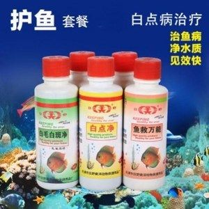 龙鱼万能药水发黄：龙鱼万能药水发黄怎么办 龙鱼百科 第3张