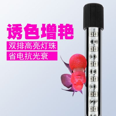 鱼缸照明选择指南：鱼缸照明灯选择指南 鱼缸百科 第2张