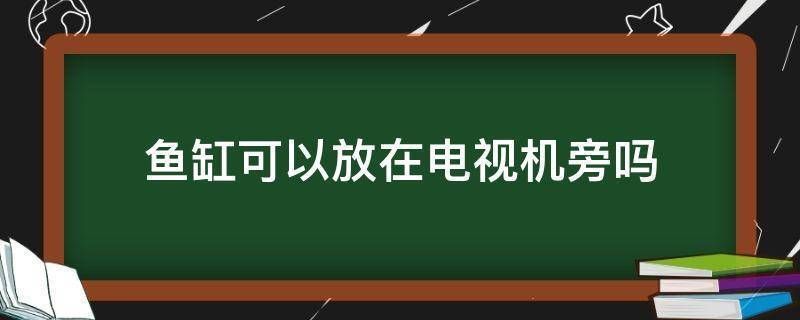 鱼缸能放在电视机旁吗：鱼缸可以放在电视机旁吗 鱼缸百科 第2张