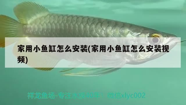 小鱼缸的安装方法视频教程：如何正确安装小鱼缸 鱼缸百科 第4张