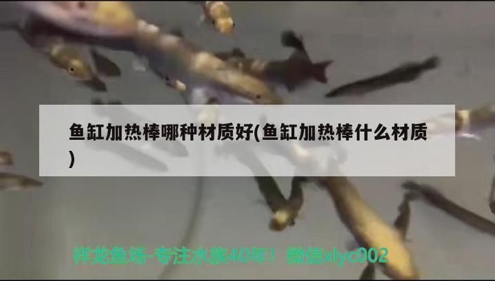 品牌鱼缸加热棒排名前十有哪些：品牌鱼缸加热棒排名前十的详细信息：松宝/yee 鱼缸百科 第5张