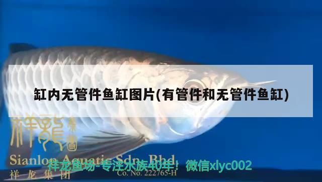 闽江鱼缸公司官网地址在哪里：关于闽江鱼缸公司官网地址的建议 鱼缸百科 第1张