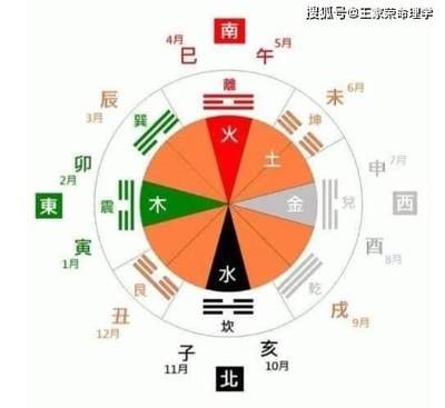 金龙鱼纯香和醇香区别大吗：金龙鱼的纯香和醇香哪个更适合用于烹饪？ 水族问答