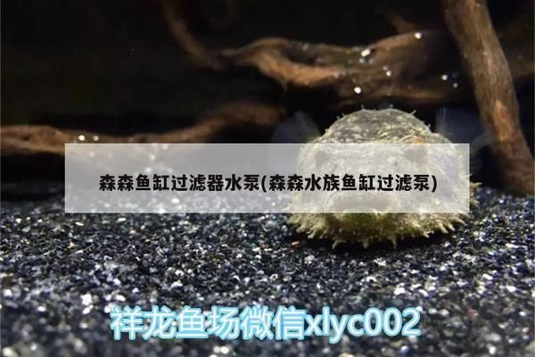 森森水族鱼缸过滤泵 鱼缸百科 第2张