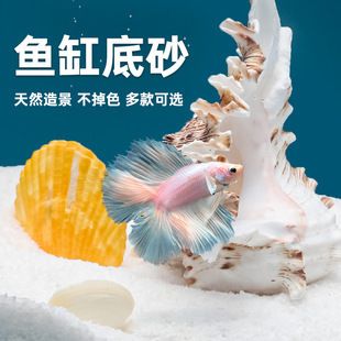 威毕鱼缸 鱼缸百科 第1张