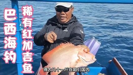 金龙鱼醋怎么样：金龙鱼醋的功效与作用 水族问答