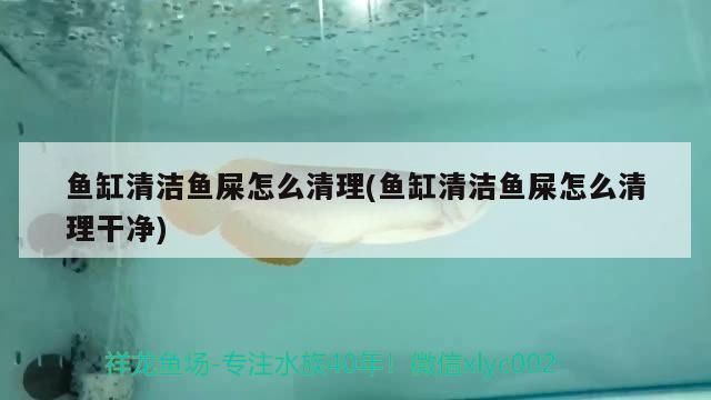 西龙鱼缸水泵安装视频：西龙鱼缸水泵安装后的调试技巧西龙鱼缸水泵安装后的调试技巧 鱼缸百科 第3张