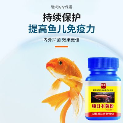 龙鱼专用药物品牌对比：龙鱼专用药品牌 龙鱼百科 第1张