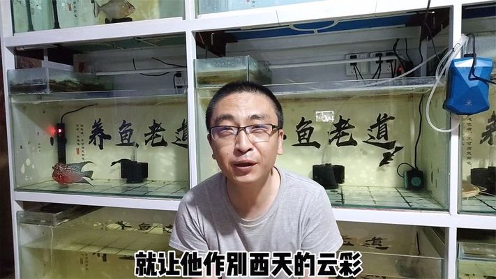 鱼缸滤盒里有小蚊子怎么处理：鱼缸滤盒内出现蚊子幼虫问题，鱼缸水质维护最佳实践 鱼缸百科 第1张