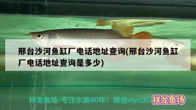 海润鱼缸：海润鱼缸以其专业的设计和可靠性在市场上占有一席之地 鱼缸百科 第2张