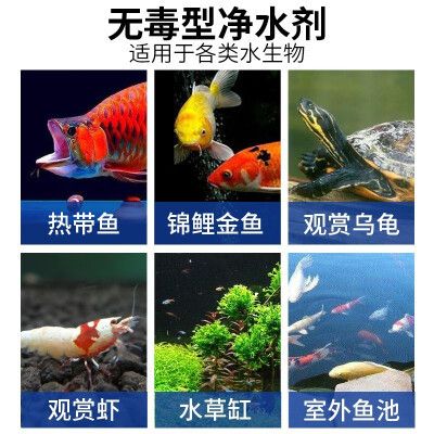 金龙鱼稻花香米10斤多少钱一袋 水族问答 第2张