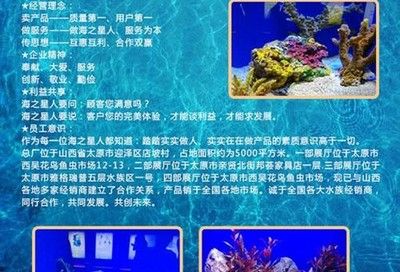 海之彩鱼缸使用说明：海之彩鱼缸专用过滤器型号，鱼缸水质检测要点 鱼缸百科 第4张