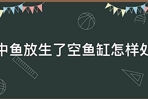 形容鱼缸的四字词语有哪些：鱼缸养护的常见误区 鱼缸百科 第4张