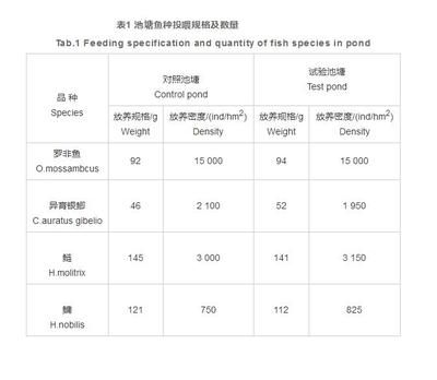 金龙鱼的成长速度：金龙鱼成长速度受到多种因素影响 水族问答 第1张