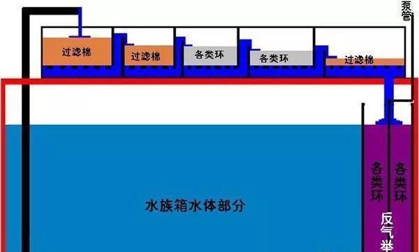 鱼缸滤材怎么摆放教学视频：鱼缸滤材怎么摆放教学视频详情 鱼缸百科 第4张