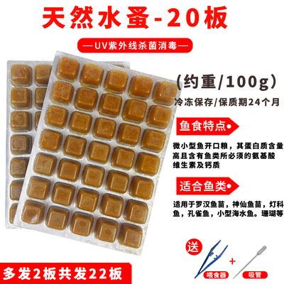 龙鱼饲料保存方法及注意事项：龙鱼饲料的保存方法以及注意事项 龙鱼百科 第4张