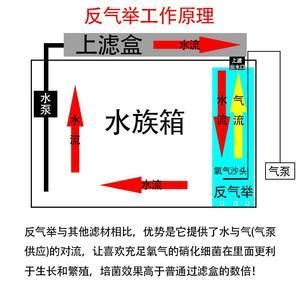 鱼缸水泵的工作原理图：鱼缸水泵的工作原理 鱼缸百科 第4张