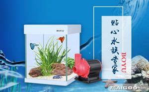 创海鱼缸和博宇鱼缸比较那个好：创海鱼缸与博宇鱼缸价格对比 鱼缸百科 第4张