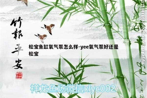 松宝鱼缸使用说明书：如何正确安装和使用松宝鱼缸 鱼缸百科 第3张