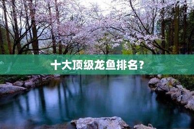 金龙鱼的规格：养一缸金龙鱼需要多大的鱼缸？ 水族问答 第1张