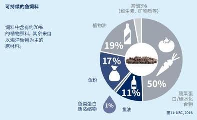 鱼饲料营养成分对比分析：鱼饲料的营养成分及其作用 龙鱼百科 第1张