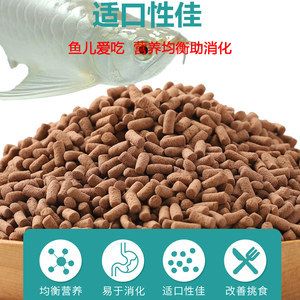 红龙鱼爱吃什么：红龙鱼喂食频率指南， 红龙鱼百科 第5张