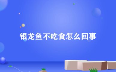 银龙鱼水质检测最佳时间：银龙鱼水质检测最佳时间：银龙鱼水质检测最佳时间 龙鱼百科 第5张