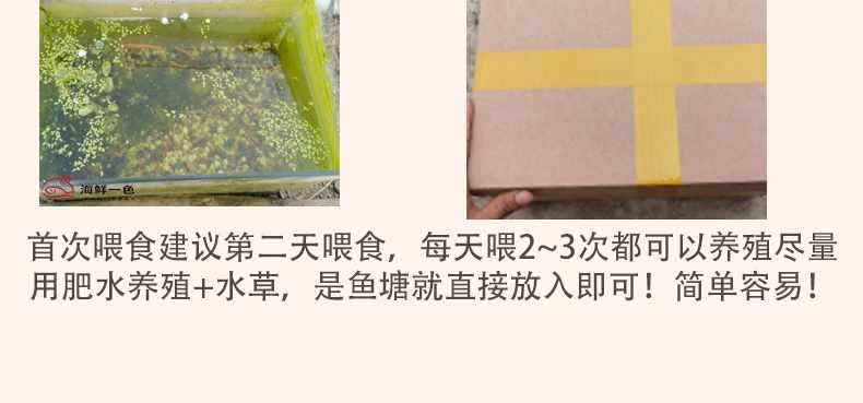 金龙鱼的卖点有哪些：关于金龙鱼食用油的一些疑问 水族问答 第1张